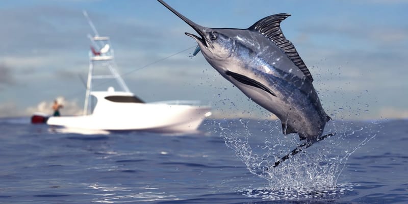 A marlin leaping out of the water near a sport fishing boat